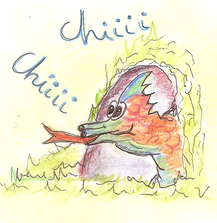 Dragones y chicharras